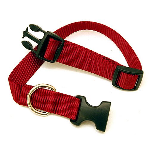 Childrens Toyshop  Sporting Goods : Adjustable Nylon Pet Collars