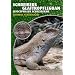 Schreibers Glattkopfleguan: Leiocephalus Schreibersii. Art f�r Art