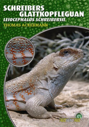 Schreibersii