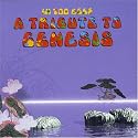Tribute to Genesis