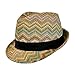 Bohemian Summer Straw Fedora Hat for Women, Cute Chevron Zig Zag Striped, One Size