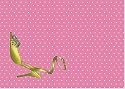 Real Style Small Note Cards