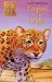 Leopard at the Lodge (Animal Ark Series #44) (Animal Ark in South Africa)