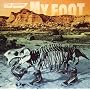 MY FOOT