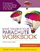 What Color is Your Parachute?: Workbook: A Practical Guide for Job-Hunters and Career Changers