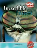 Incredible Insects (Freestyle Express: Incredible Creatures)