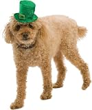 Mini Leprechaun Hat Pet Costume