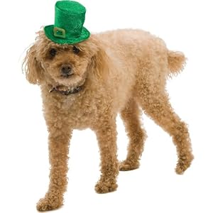 st patricks day leprechaun dog hat