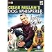 Cesar Millan's Dog Whisperer
