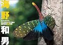 デジタルカメラで撮る海野和男昆虫写真 -wild insects-