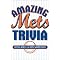 Books on The New York Mets