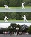 Dr. Chen's Tai Chi 24 Forms Level 2