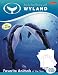 Step-by-Step Painting with Wyland: Favorite Animals of the Sea (Wyland Art Series)