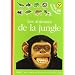 Les animaux de la jungle