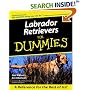 Labrador Retrievers for Dummies