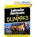 Labrador Retrievers for Dummies