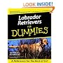 Labrador Retrievers for Dummies