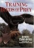 Training Birds of Prey