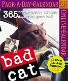 Bad Cat Page-A-Day Calendar 2006