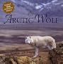 The Arctic Wolf: Ten Years With the Pack