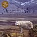 The Arctic Wolf: Ten Years With the Pack