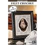 Beginner's Guide: Filet Crochet (Leisure Arts #75032)
