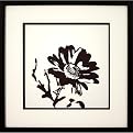 Brown Daisies B Wall Art - 18x18"