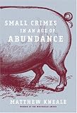 Small Crimes in an Age of Abundance