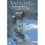 Wildlife - The Art of Robert Bateman