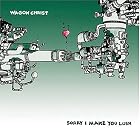 Sorry I Make You Lush by Wagon Christ