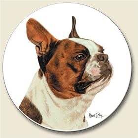 Boston Terrier Coaster, Single Coaster for Your Car by AbsorbaStone