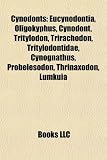 Cynodonts: Eucynodontia, Oligokyphus, Cynodont, Tritylodon, Trirachodon, Tritylodontidae, Cynognathus, Probelesodon, Thrinaxodon, Lumkuia