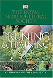 RHS Pruning and Training (Rhs)