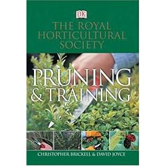 RHS Pruning and Training