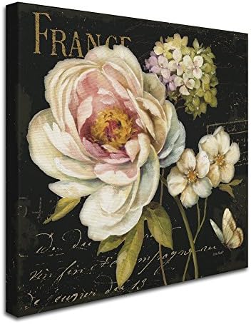 Trademark Fine Art Marche de Fleurs on Black Wall Decor by Lisa Audit, 35" x 35"