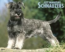 2010 Schnauzer Calendar