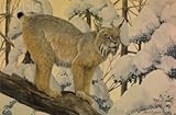 IMAGE OF Wallmonkeys Peel and Stick Wall Decals - A Painting of a Canada Lynx Standing on Fallen Tree Trunk - 60