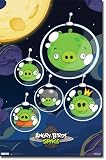 (22x34) Angry Birds Space Pigs Video Game Poster Print