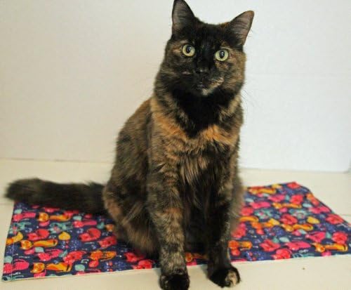 CATNIP PAD/MAT HAND CRAFTED IN THE USA BY CATHOUZE CRAFTS **ONE FREE CATNIP TOY WITH PURCHASE** (OH LA LA)