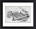 Framed Prints of Giant Water Lily/1849 from Mary Evans