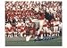 Autographed Gino Cappelletti New England Patriots 8x10 Photo