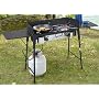 Deluxe 2 - burner Portable Propane Camp Stove