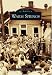 Warm Springs   (GA)  (Images of America)