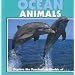 Ocean Animals (Our Wild World)