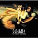 Solefald-The Linear Scaffold