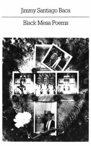 Black Mesa Poems (New Directions Paperbook)