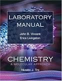 Laboratory Manual for Chemistry: A Molecular Approach image