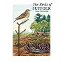 The Birds of Suffolk (Helm County Avifauna)