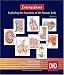 Interactions: Exploring the Functions of the Human Body, Version 2.0 DVD (Interactions)