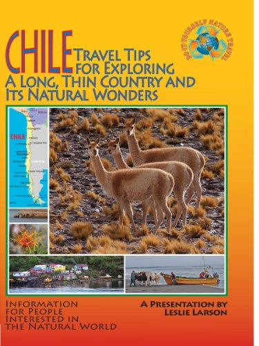 travel chile